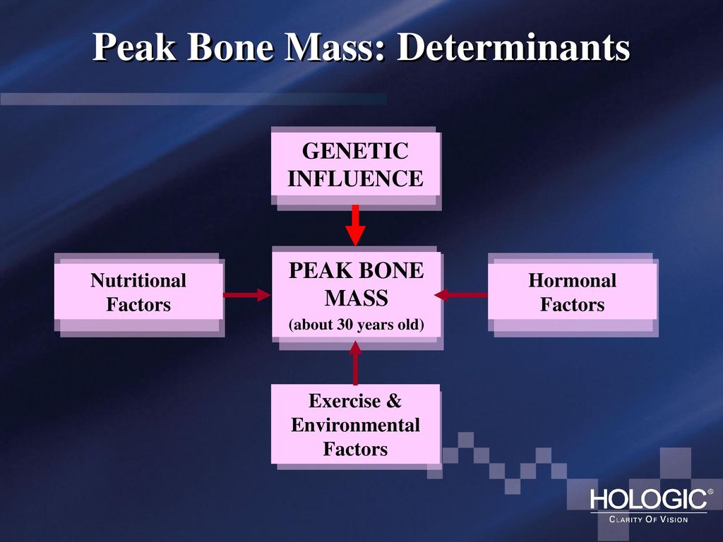 Peak bone mass image 1