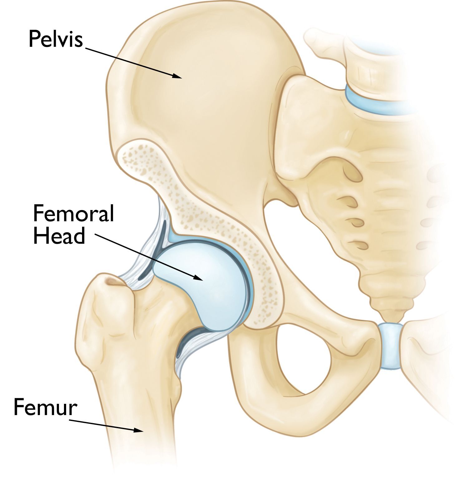 Hip surgery